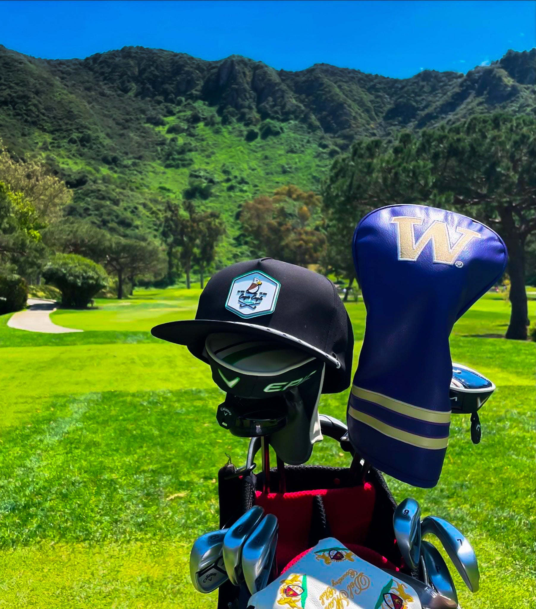 Eager Eagle golf hat with a golf course backdrop